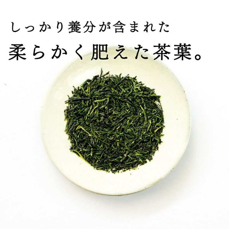 上級玉露 祇園 100g 【送料無料】 §a10 | 木谷製茶場オンライン