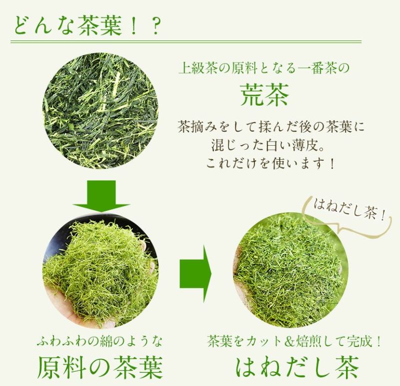煎茶 水出し はねだし茶 270g | 木谷製茶場オンラインショップ